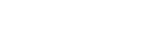 Patentstyret