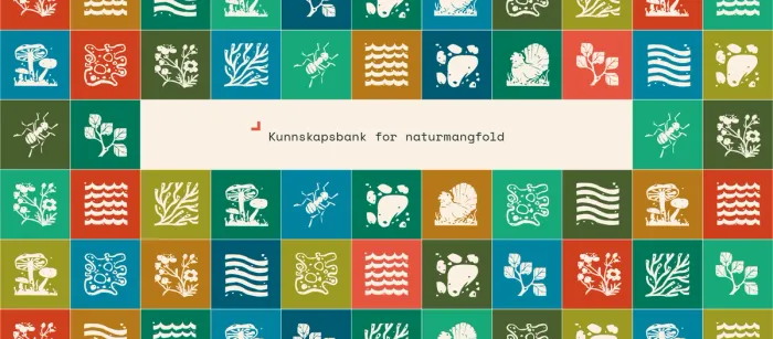 Bli med å kode kunnskapsbanken for vårt naturmangfold! Full stack-utvikler søkes til Artsdatabanken.
