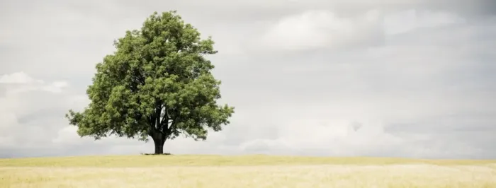 Eika søker en erfaren teamleder til strategisk satsning på Dynamics 365