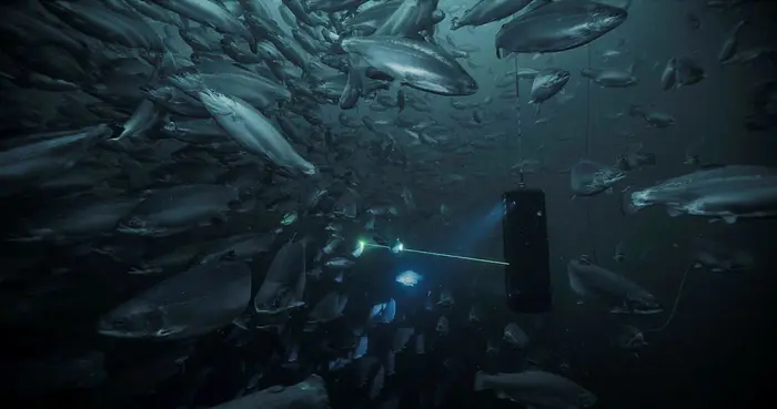 Vil du bygge dataplattformen bak verdensledende havbruksteknologi?