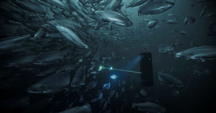 Vil du utvikle programvare i et høyteknologisk produktmiljø i sterk vekst?