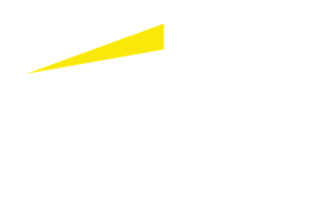 EY Skye Consulting AS