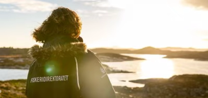 Vil du være med på å bygge den digitale grunnmuren for forvaltningen av livet i havet?