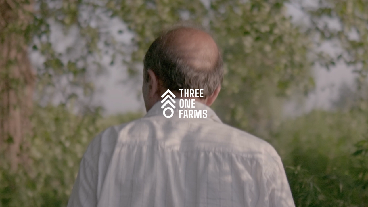 Still from the Three One Farms film