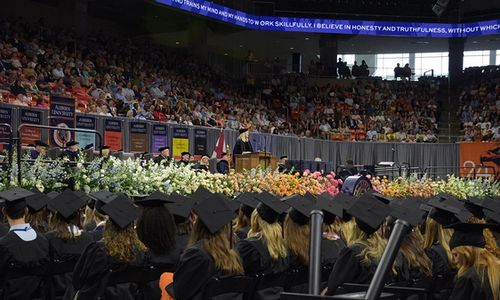 War Eagle! Auburn University Graduates, Celebrate with Premium Diploma Frames and Graduation Websites