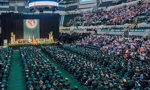 USF Bulls, Your Time to Celebrate Has Arrived! 🐂