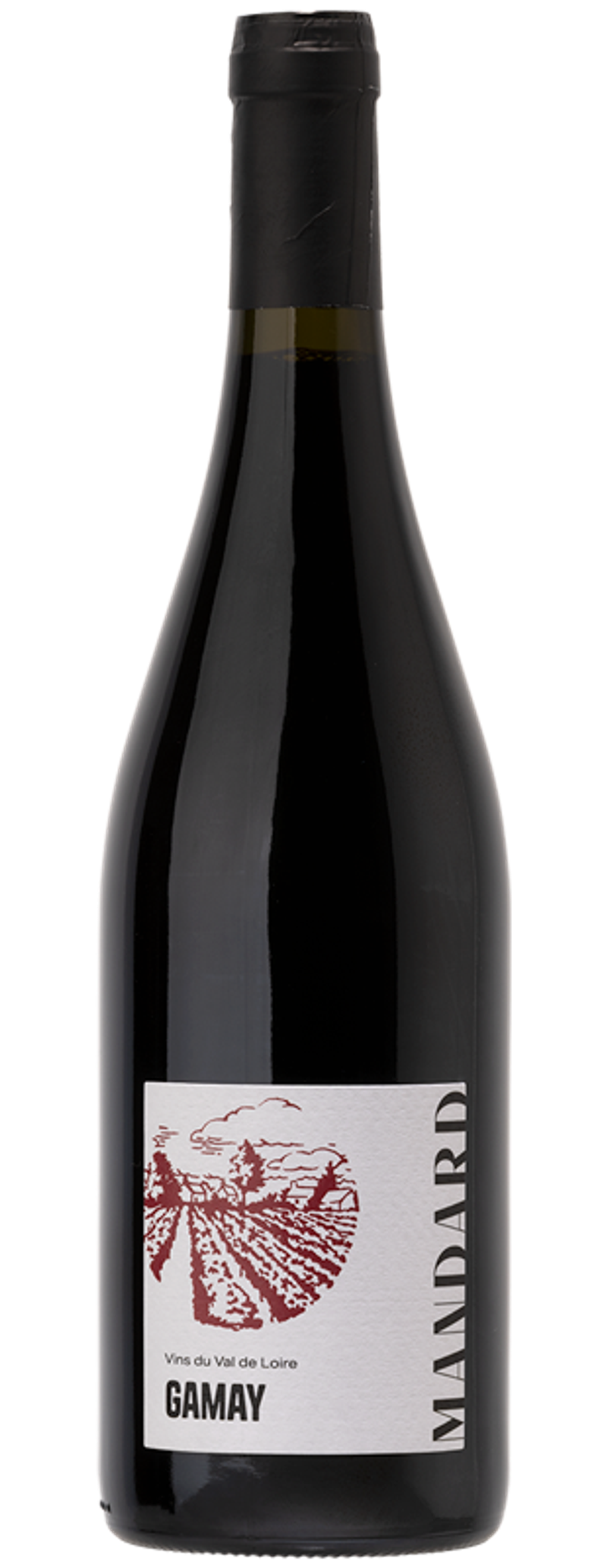 Touraine Gamay