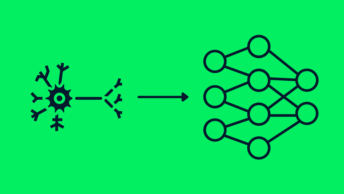 From Neurons to Networks: What We Left Behind