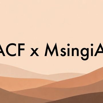 African AI Needs More Than Great Models