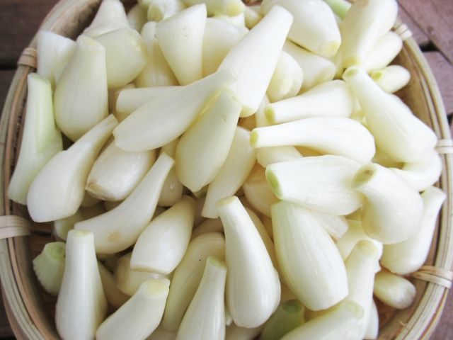 Sand Dune Rakkyō specialty food