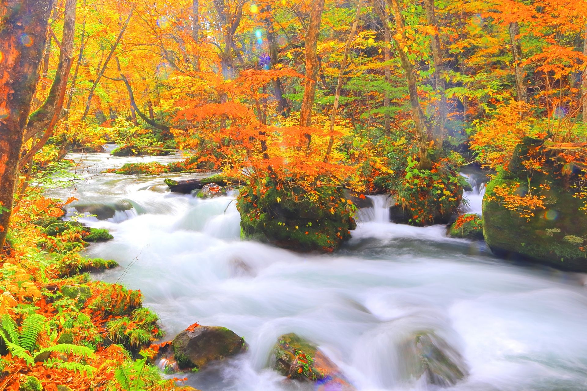 A long exposure shot of a river rushing through a vibrant autumn forest with orange and yellow leaves.