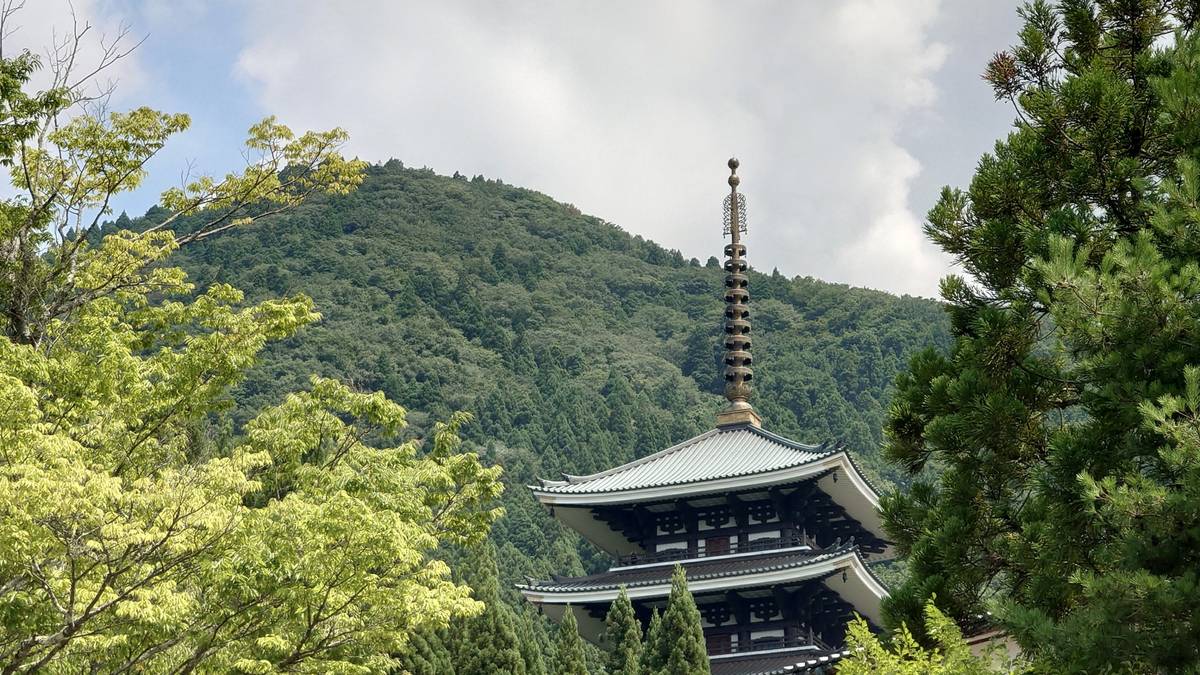 A multi-tiered pagoda surrounded by green trees and a forested mountain.