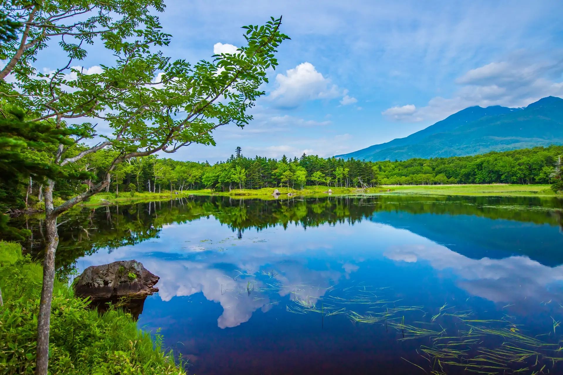 A tranquil lake reflecting a lush green forest, a distant mountain, and a blue sky with clouds.