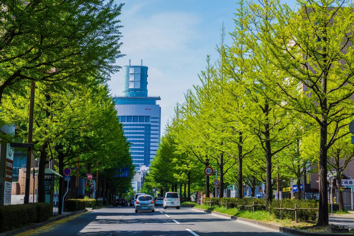 仙台市