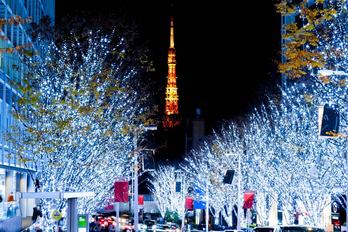 Night scene of a street lined with trees wrapped in white-blue lights, with the orange Tokyo Tower in the background.