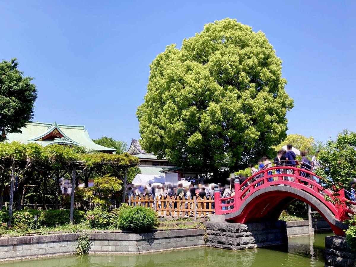 A vibrant red arched bridge crowded with blurred people, leading to traditional Japanese shrine buildings and lush greenery under a clear blue sky.