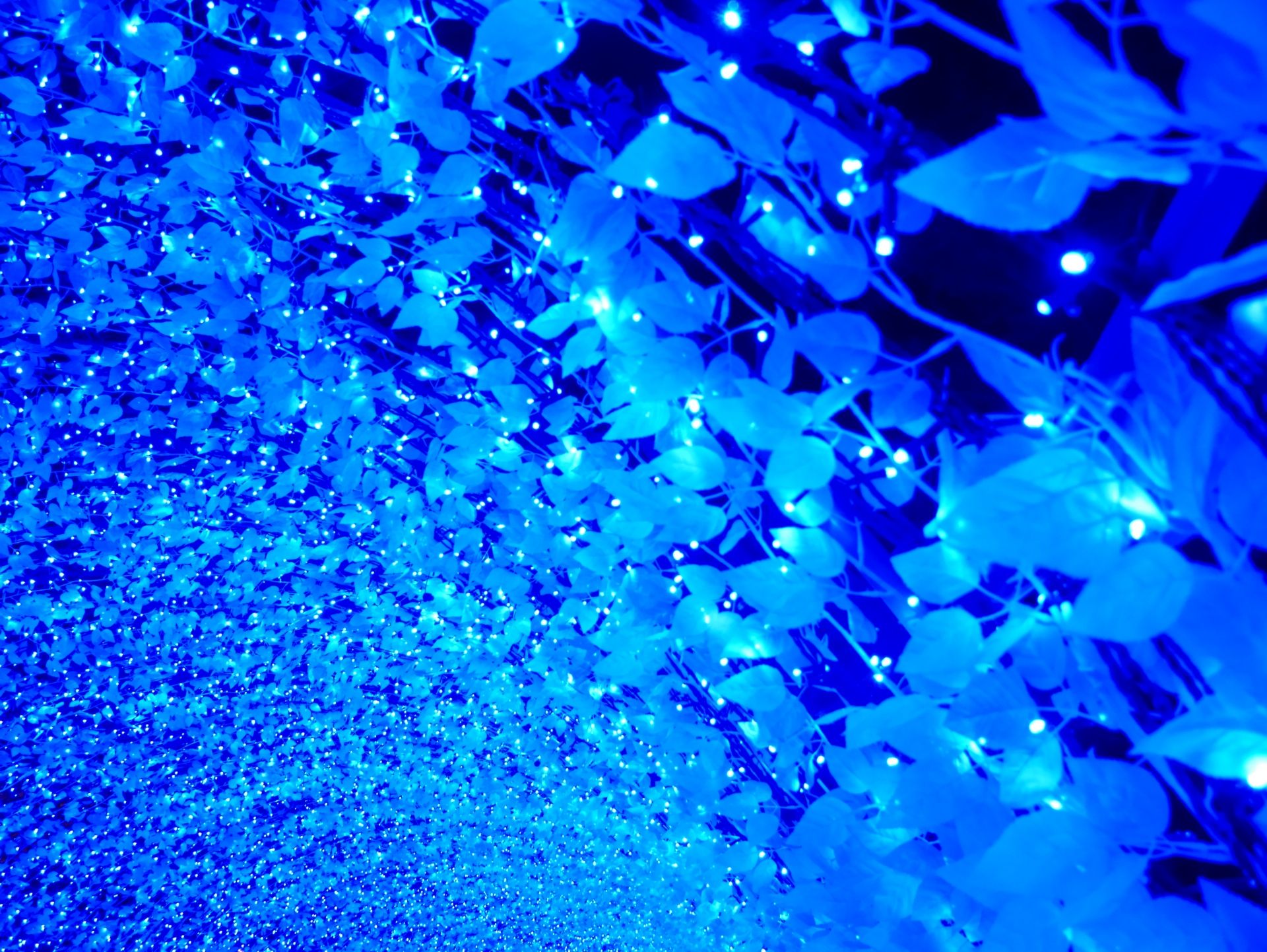 A tunnel of glowing blue leaves and numerous small blue lights.