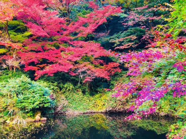 Autumn
