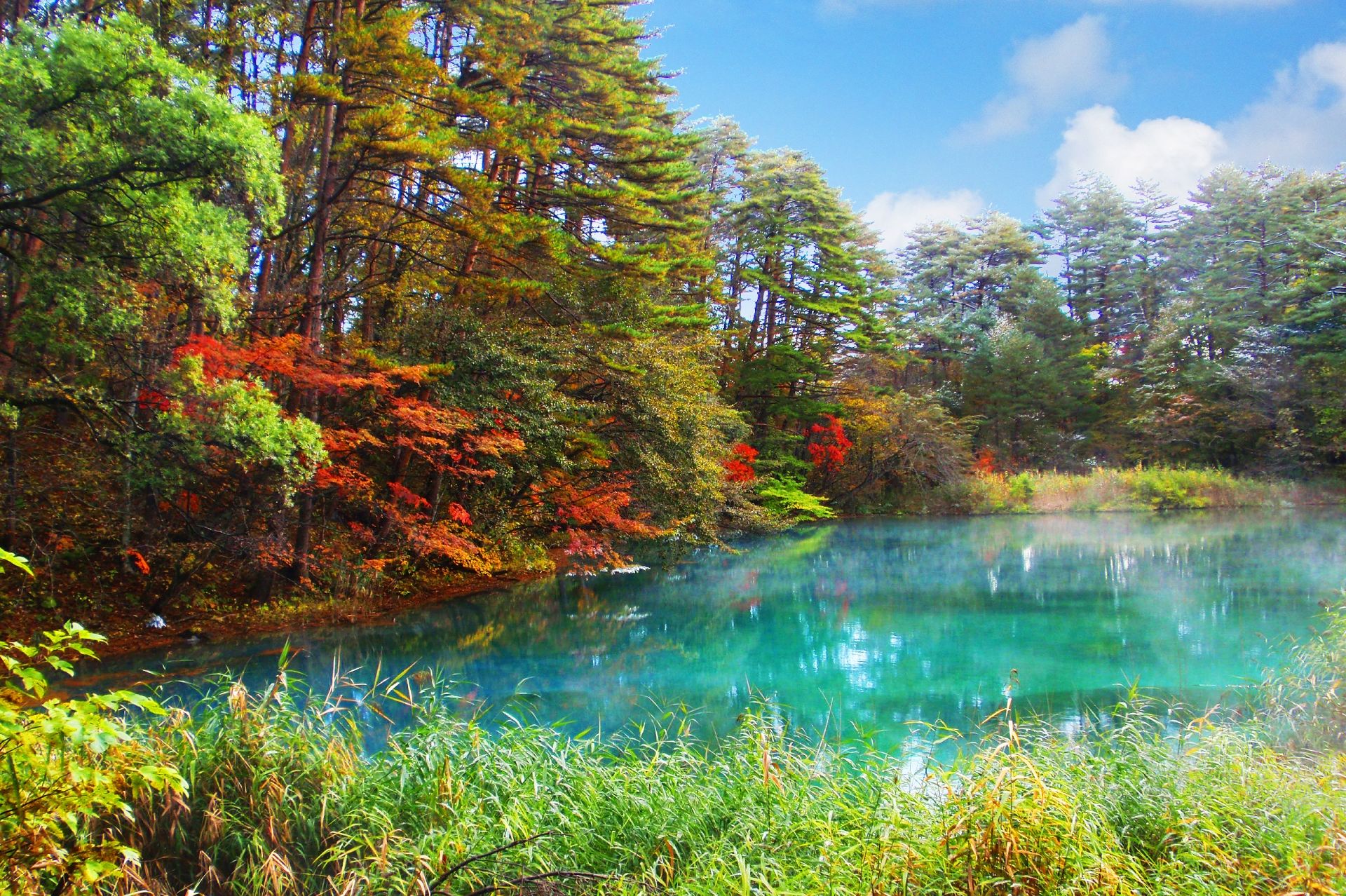 Turquoise lake surrounded by trees with vibrant autumn foliage and green reeds.