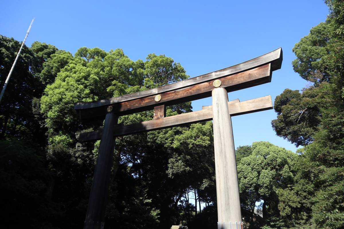 Large wooden torii gate against a blue sky with green trees.