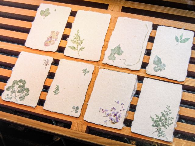 Tosa Washi craft