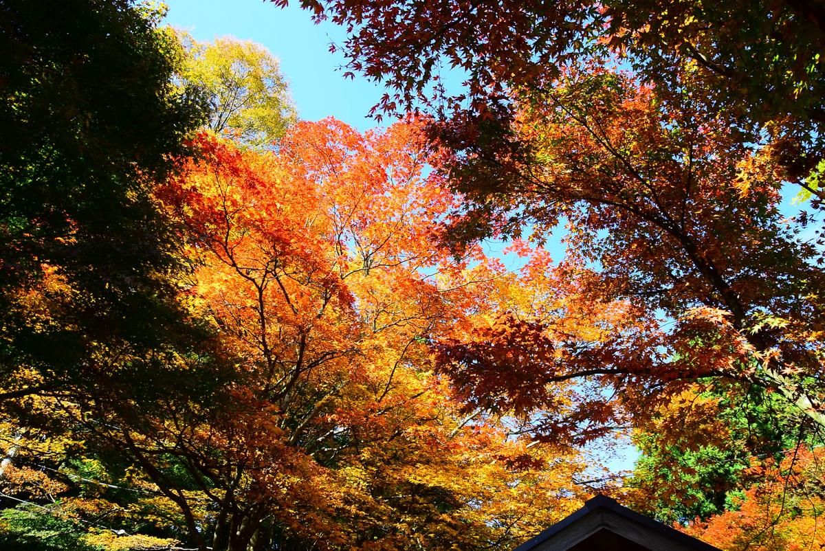 日の出町