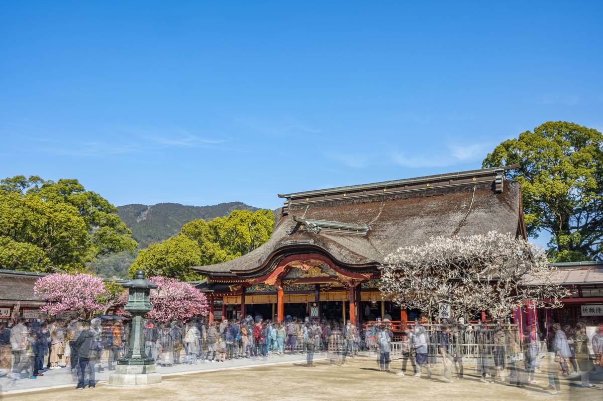Traditional Japanese shrine with a thatched roof, pink and white cherry blossoms, and blurred people under a clear blue sky.