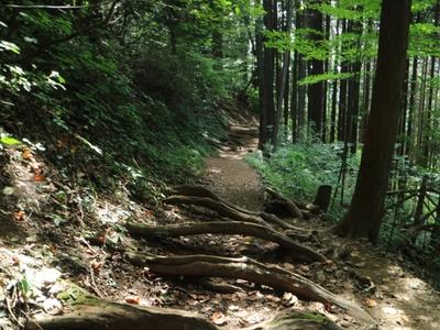 日の出山