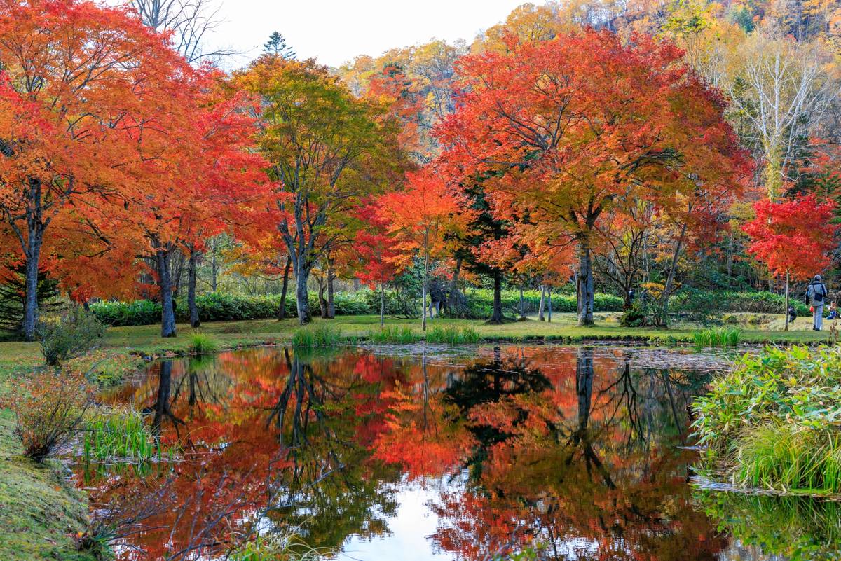 Vibrant red and orange autumn trees reflected in a calm pond.