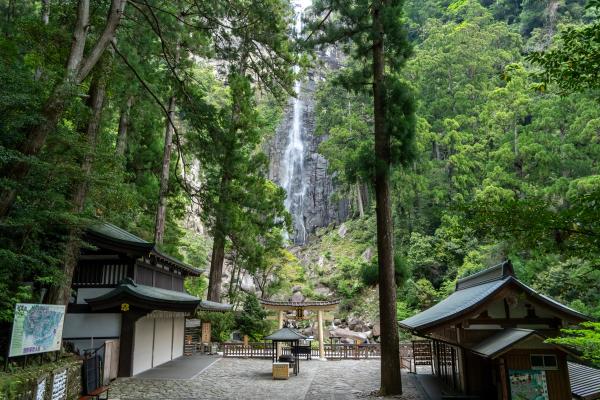 Wakayama