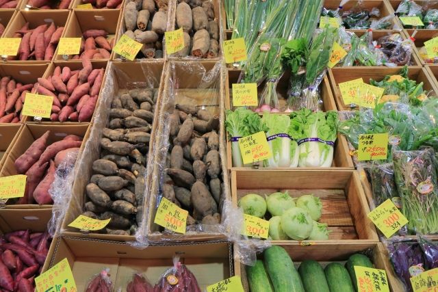 加賀野菜 specialty food