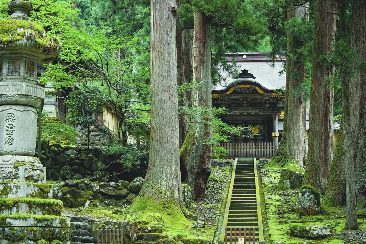 Fukui