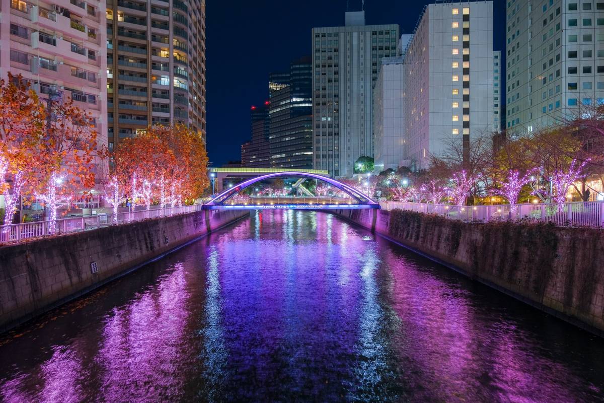 Night view of a city canal with an arched bridge, surrounded by buildings and trees illuminated with pink and purple lights reflecting in the water.
