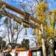 Kamishinmei Tenso Shrine