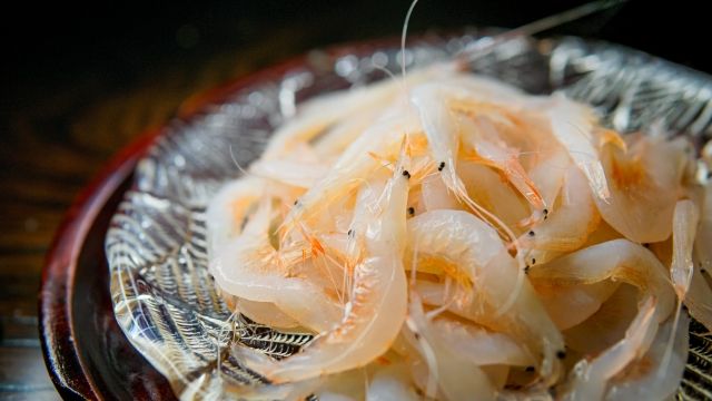 白えび specialty food