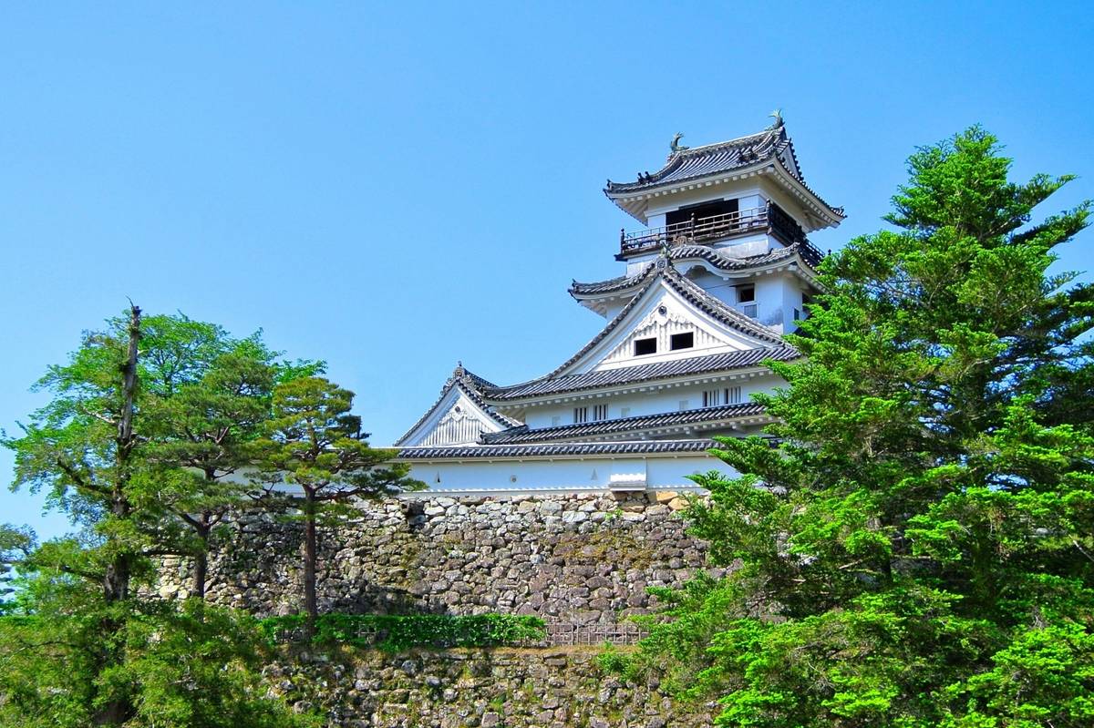 White Japanese castle with black roofs on a stone wall, surrounded by green trees under a blue sky.