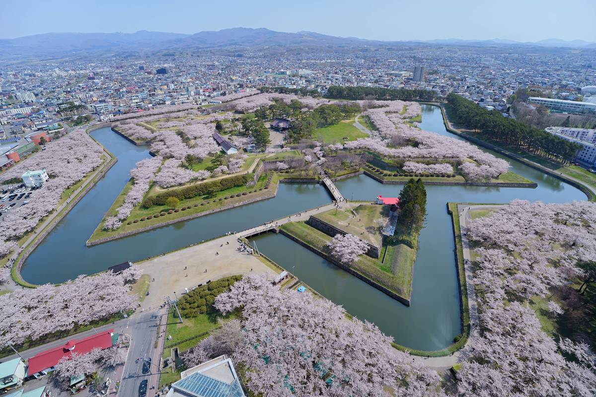 Aerial view of a star-shaped fort with a moat, densely covered in pink cherry blossoms, within a city.