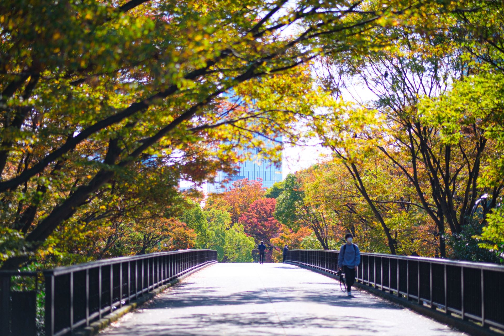 Yoyogi area