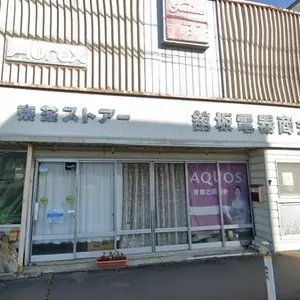 Tatesaka Denki Shokai