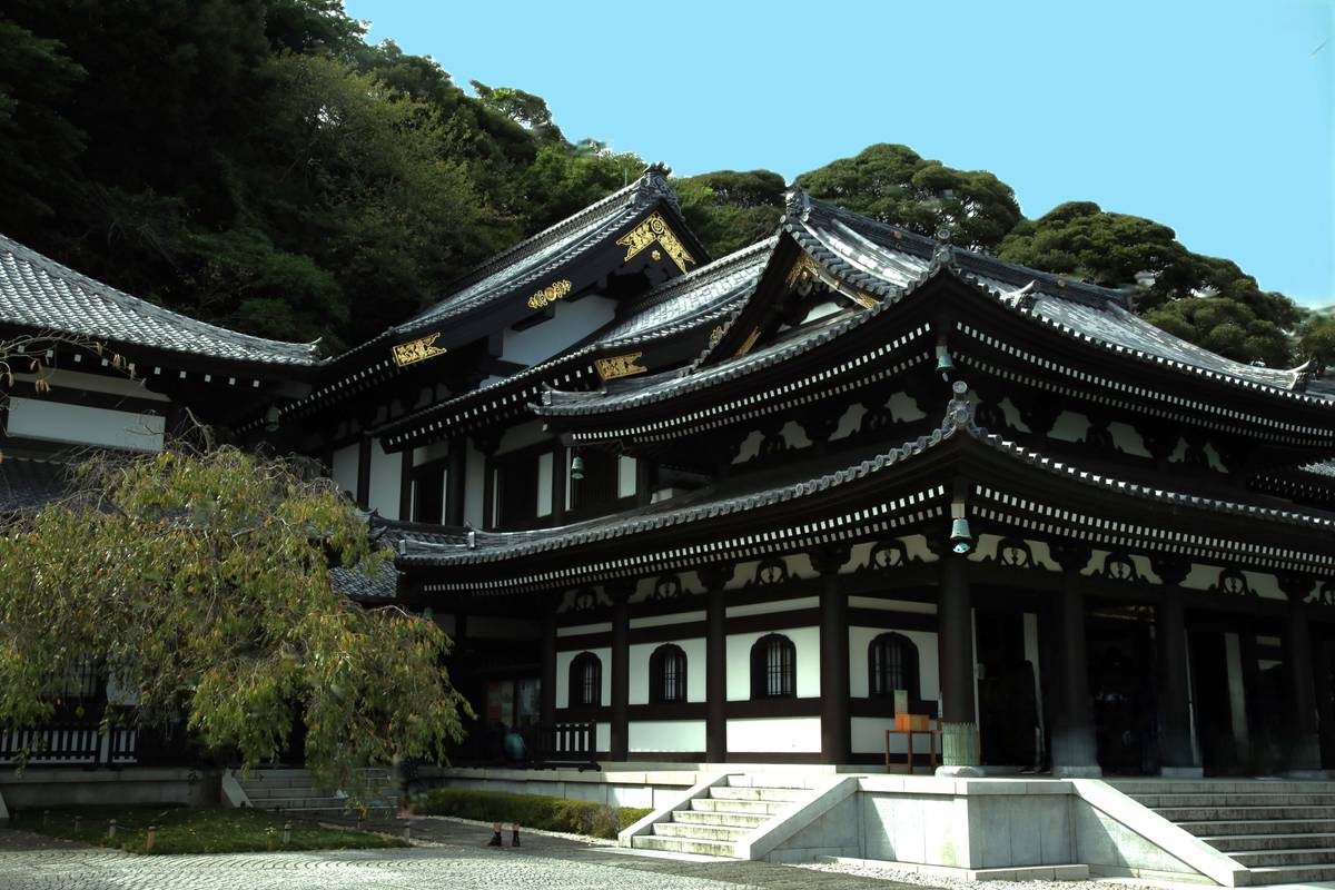 A Japanese temple complex with dark tiered roofs, white walls, and gold trim, surrounded by green trees under a blue sky.