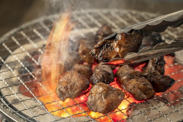 Miyazaki Jitokko Chicken specialty food
