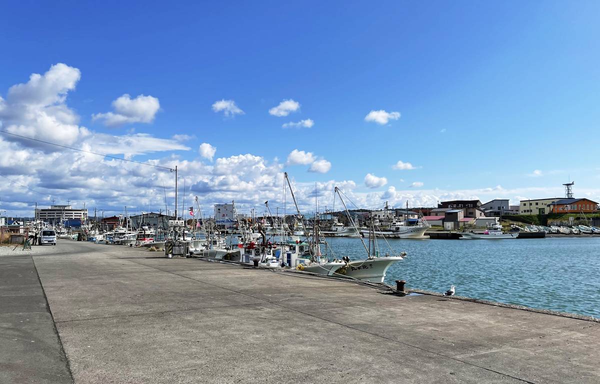 Fishing boats docked along a concrete pier in a harbor under a partly cloudy blue sky.