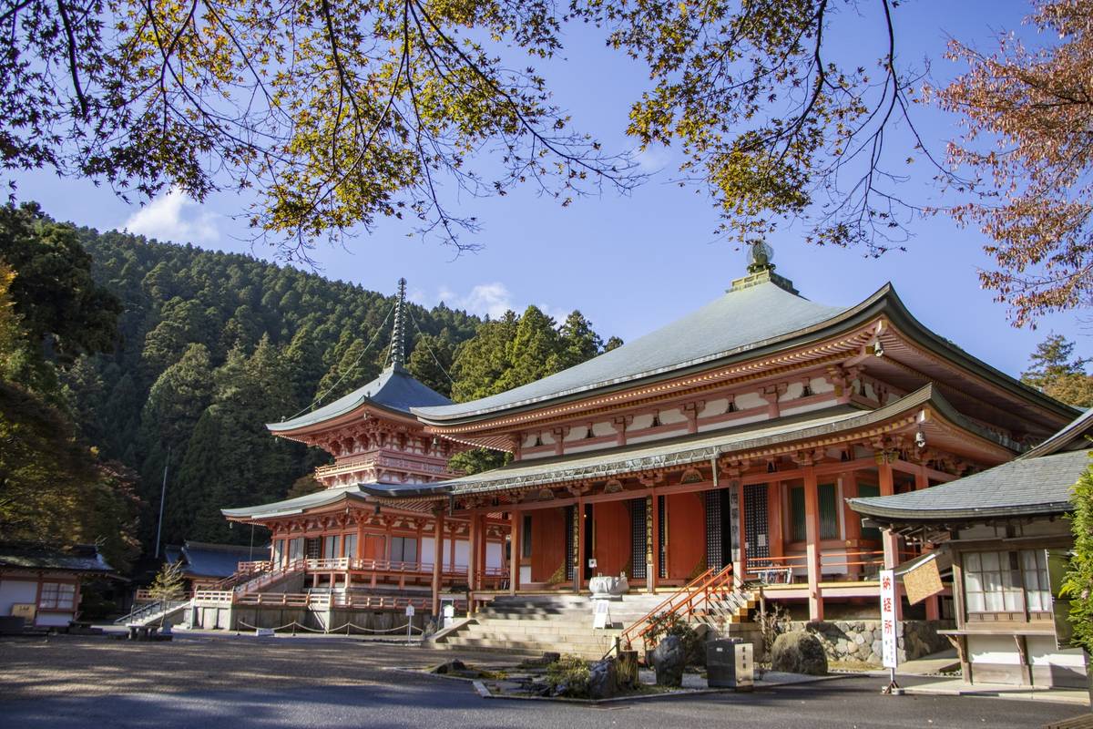 A traditional Japanese temple complex with red buildings and gray roofs against a forested hillside under a blue sky.