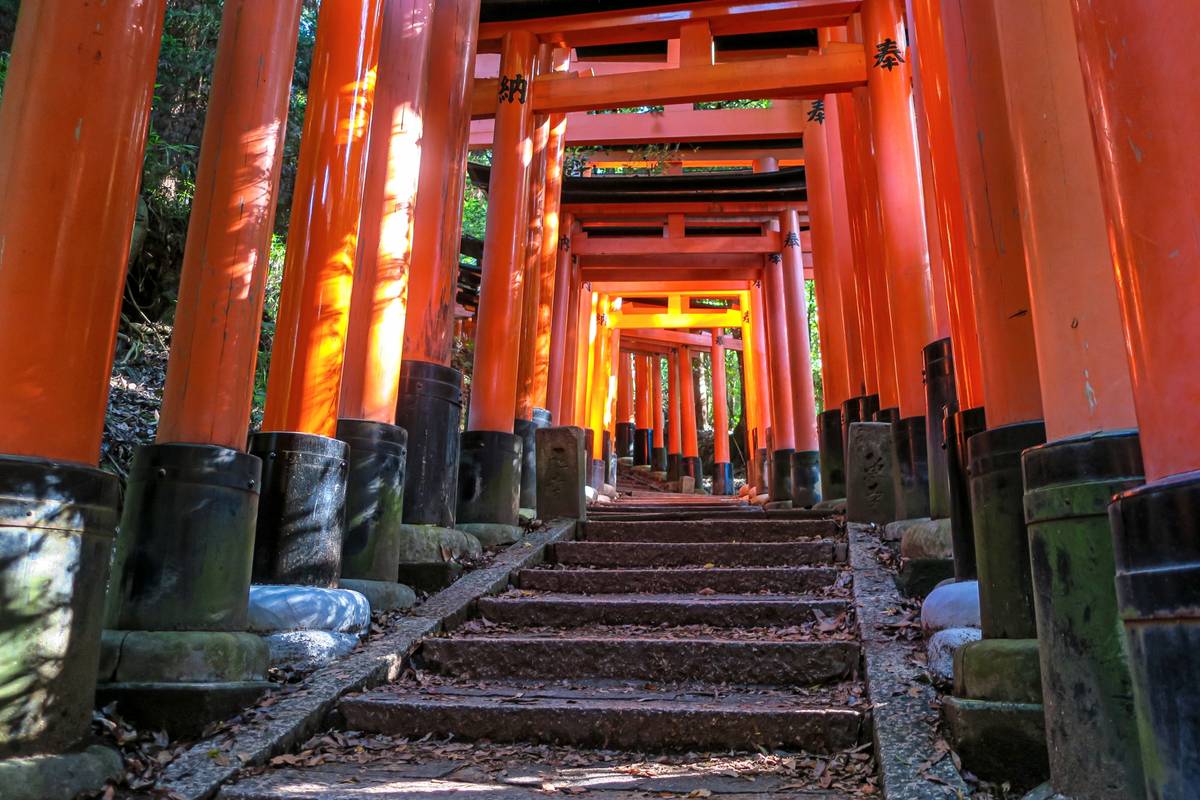 A pathway of stone steps winds uphill through a long tunnel of vibrant orange torii gates.