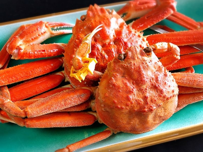 Echizen Crab