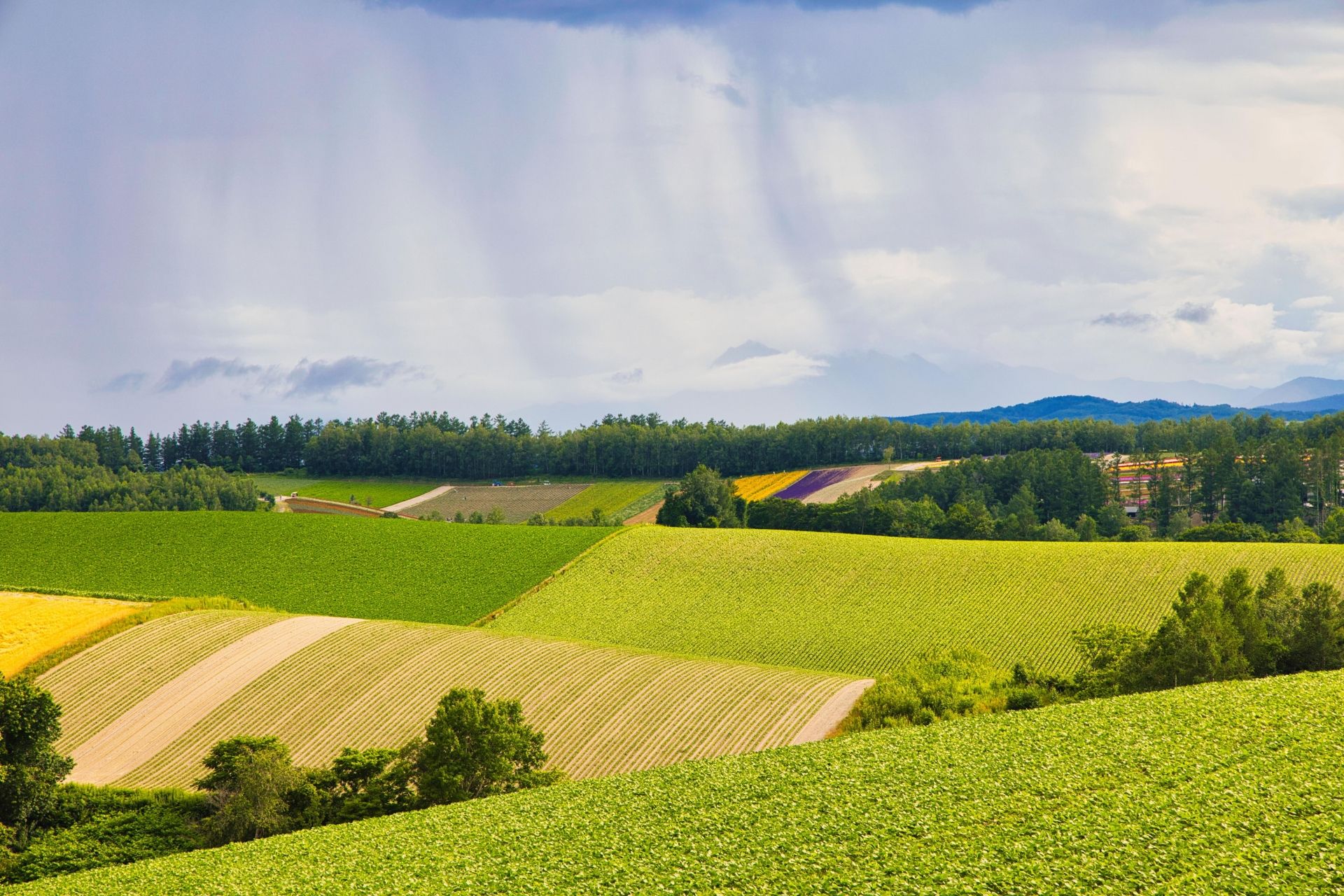 Rolling hills covered in a patchwork of green, yellow, and tilled fields under a cloudy sky.