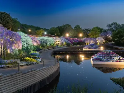 Ashikaga Flower Park