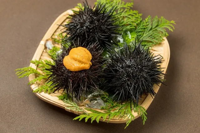 Uni (Sea Urchin)