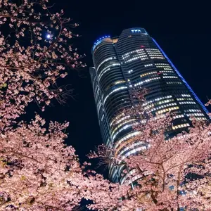 Roppongi Hills