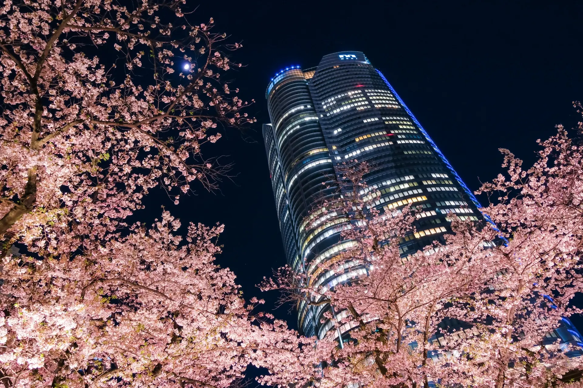 Roppongi Hills